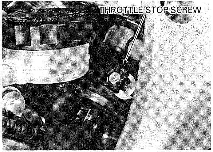 Throttle Stop Screw