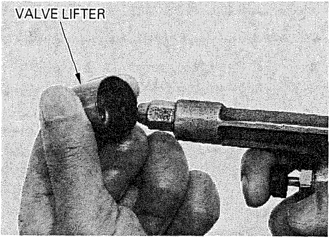 Valve Lifter Cleaning